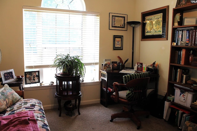 499 Woodhouse Loop, Irmo, SC 29063 - carpeted home office with baseboards