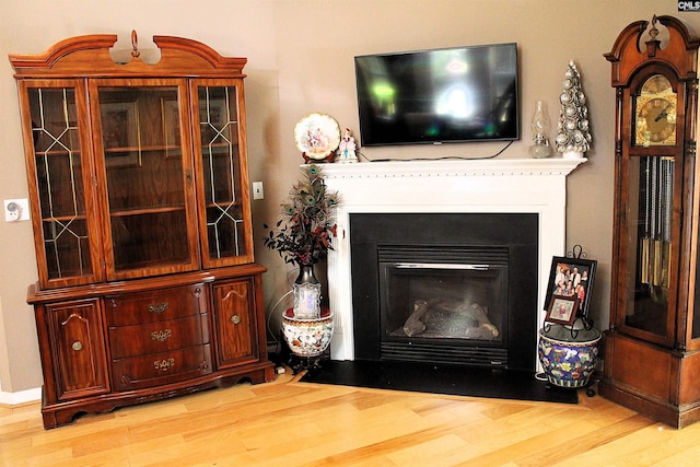 499 Woodhouse Loop, Irmo, SC 29063 - living area with wood finished floors and a glass covered fireplace