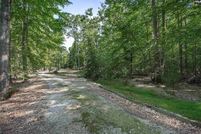 1176 Whippoorwill Rd, Prosperity, SC 29127 - view of road with a forest view
