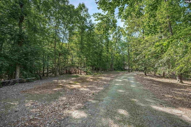 1176 Whippoorwill Rd, Prosperity, SC 29127 - view of street featuring a wooded view