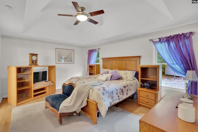 1176 Whippoorwill Rd, Prosperity, SC 29127 - bedroom with a tray ceiling, wood finished floors, and ceiling fan