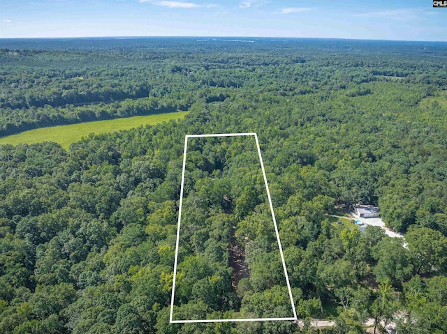 1176 Whippoorwill Rd, Prosperity, SC 29127 - aerial overview of property's location featuring a forest and property boundaries highlighted