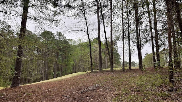 LOT29 Belfast Ct Unit 29, North Augusta, SC 29860