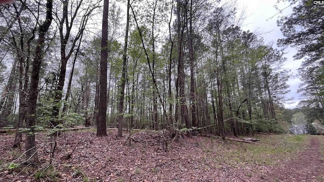 LOT29 Belfast Ct Unit 29, North Augusta, SC 29860