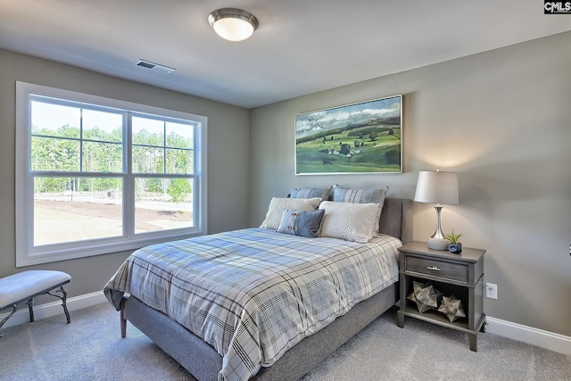 793 Oak Valley Dr, Blythewood, SC 29016 - carpeted bedroom with baseboards