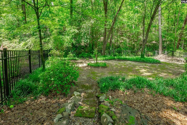 111 Double Branch Ct, West Columbia, SC 29169 - view of yard with a view of trees