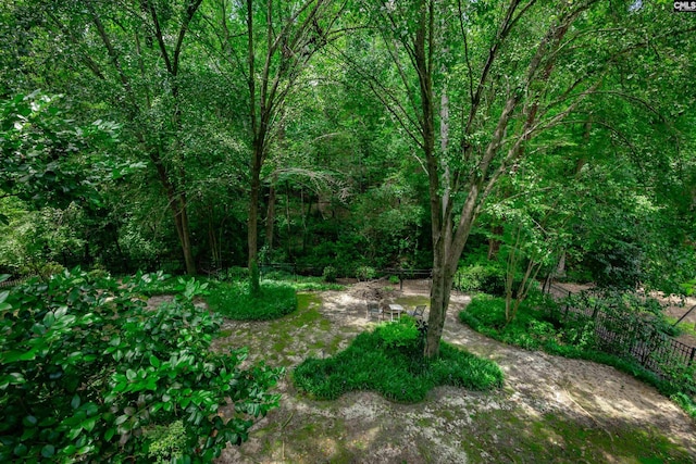 111 Double Branch Ct, West Columbia, SC 29169 - view of yard with a wooded view