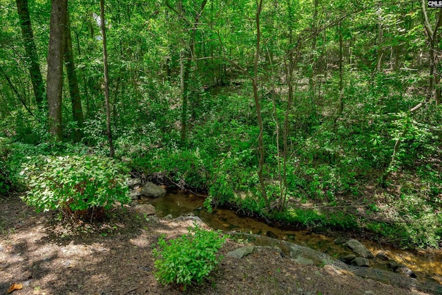 111 Double Branch Ct, West Columbia, SC 29169 - view of local wilderness