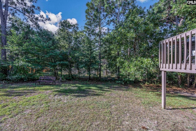 113 Chalfont Ln, Columbia, SC 29229 - view of green lawn
