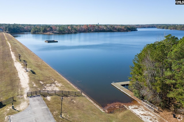 113 Chalfont Ln, Columbia, SC 29229 - water view