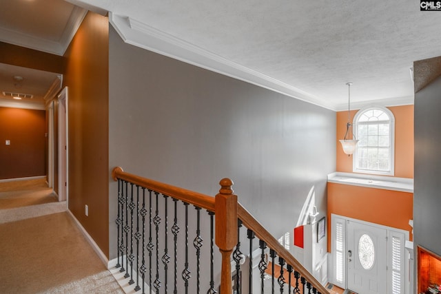 340 Heritage Forest Dr, Blythewood, SC 29045 - hall with crown molding, an upstairs landing, carpet flooring, and a textured ceiling