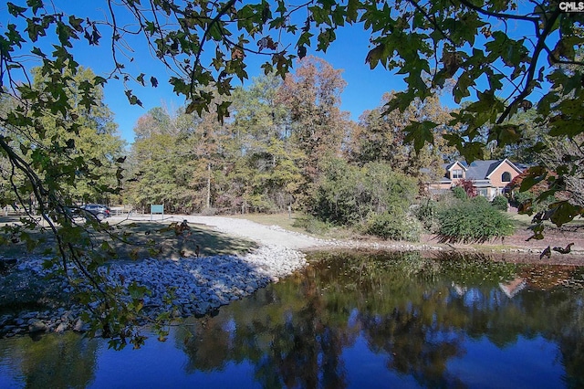 340 Heritage Forest Dr, Blythewood, SC 29045 - water view