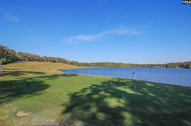 340 Heritage Forest Dr, Blythewood, SC 29045 - water view