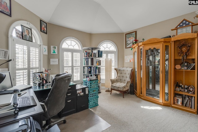 340 Heritage Forest Dr, Blythewood, SC 29045 - carpeted office featuring vaulted ceiling