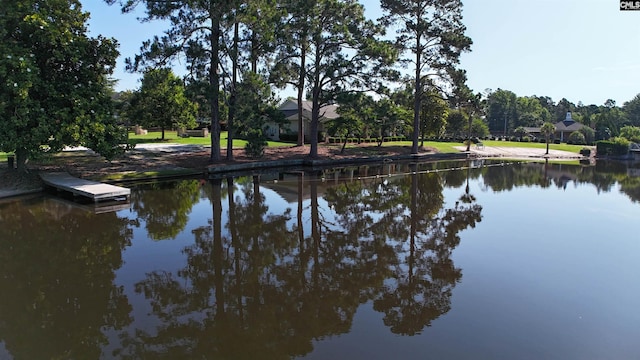 458 Laurel Mist Ln, West Columbia, SC 29170 - water view