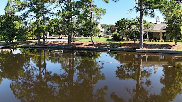 458 Laurel Mist Ln, West Columbia, SC 29170 - water view