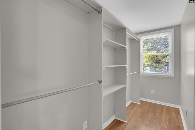 2 Westpine Ct, Columbia, SC 29212 - spacious closet with light wood finished floors