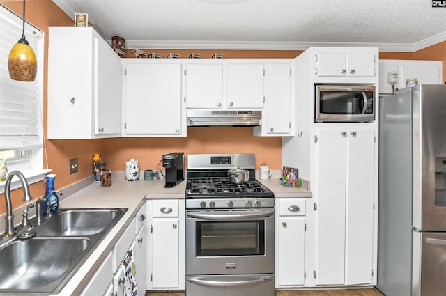 4 Rosepine Dr, Columbia, SC 29223 - kitchen featuring stainless steel appliances, under cabinet range hood, crown molding, light countertops, and white cabinets