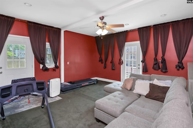 4 Rosepine Dr, Columbia, SC 29223 - workout area featuring carpet flooring and ceiling fan