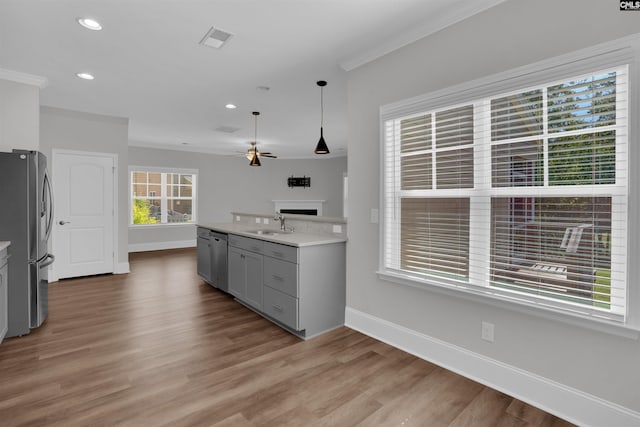386 Amalfi Dr, Chapin, SC 29036 - kitchen featuring appliances with stainless steel finishes, light wood-type flooring, a ceiling fan, light countertops, and gray cabinetry