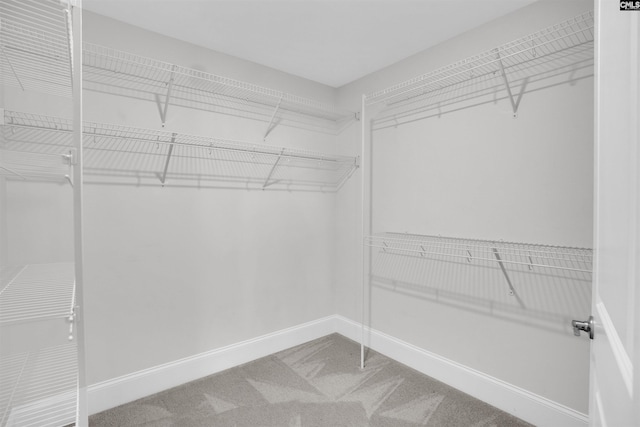 386 Amalfi Dr, Chapin, SC 29036 - spacious closet with carpet flooring