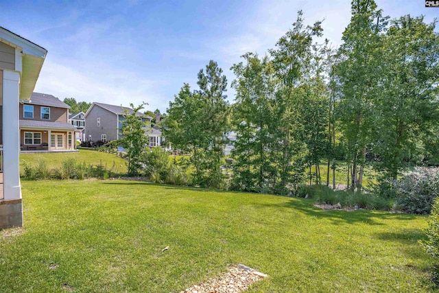 386 Amalfi Dr, Chapin, SC 29036 - view of green lawn