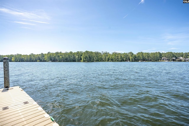 386 Amalfi Dr, Chapin, SC 29036 - dock area with a water view