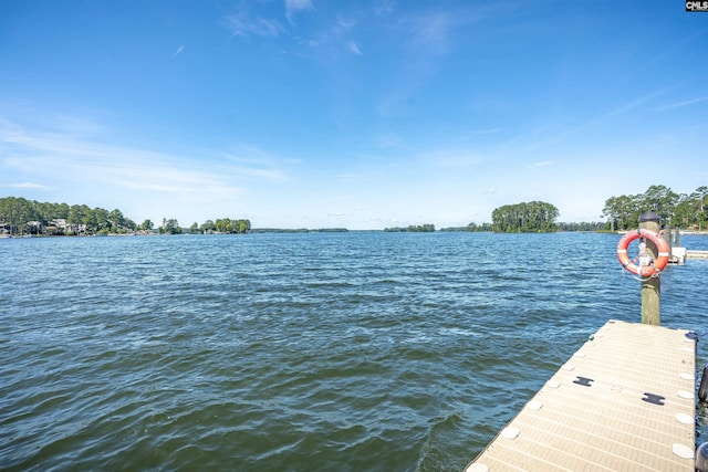 386 Amalfi Dr, Chapin, SC 29036 - dock area with a water view