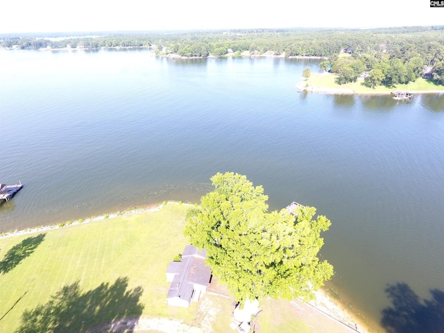 62 Lazy Ln, Ridgeway, SC 29130