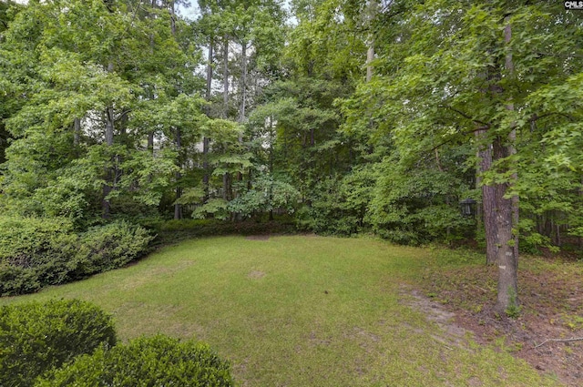 256 Sheringham Rd, Columbia, SC 29212 - view of grassy yard featuring a view of trees