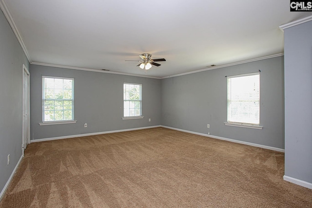 418 Abbeydale Way, Columbia, SC 29229 - unfurnished room with ornamental molding, carpet flooring, and a ceiling fan