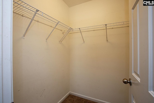 418 Abbeydale Way, Columbia, SC 29229 - spacious closet featuring dark carpet