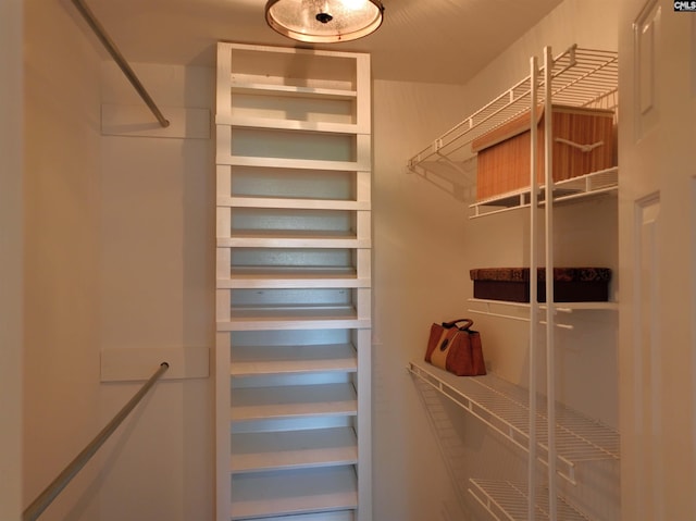 200 Weeping Cherry Ln, Columbia, SC 29212 - view of walk in closet