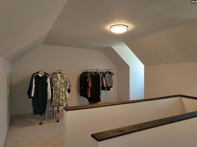 200 Weeping Cherry Ln, Columbia, SC 29212 - walk in closet featuring vaulted ceiling and carpet floors