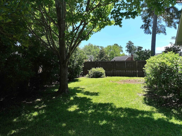 200 Weeping Cherry Ln, Columbia, SC 29212 - view of yard