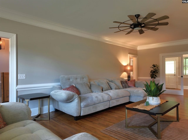 200 Weeping Cherry Ln, Columbia, SC 29212 - living room featuring crown molding, a ceiling fan, and wood finished floors