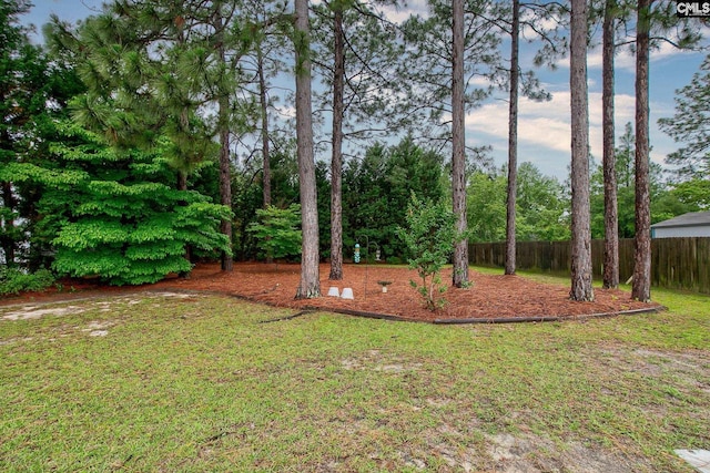 122 Halling Dr, Columbia, SC 29229 - view of yard