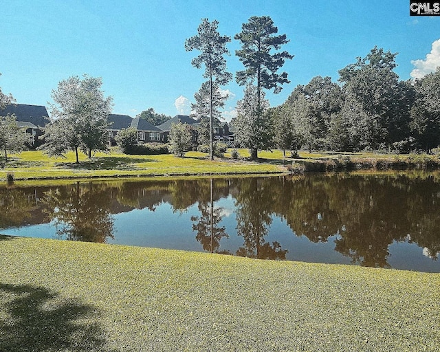 115 Lake Hilton Dr, Chapin, SC 29036 - water view