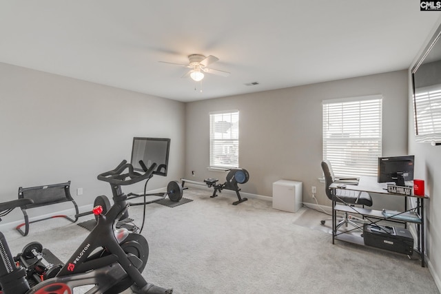 1013 Ashcroft Cir, Columbia, SC 29229 - exercise area featuring ceiling fan, plenty of natural light, and carpet flooring