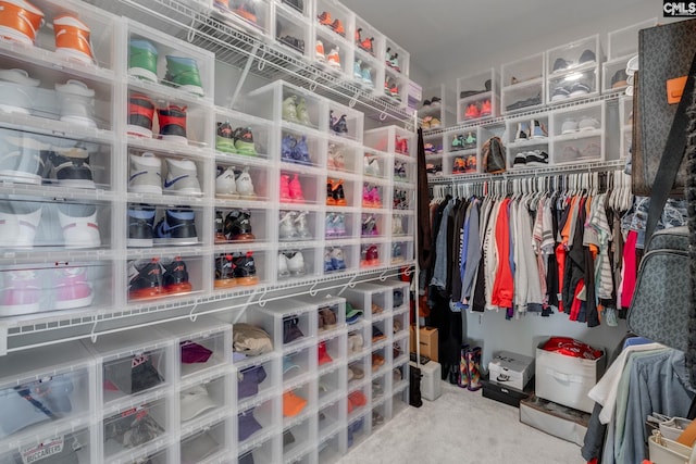 1013 Ashcroft Cir, Columbia, SC 29229 - spacious closet with carpet floors