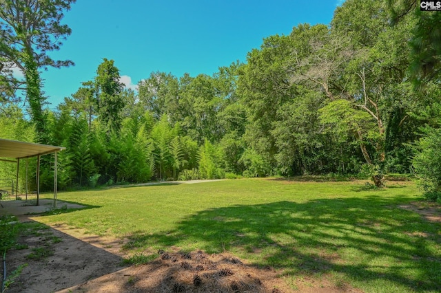 1206 Furman Dr, Sumter, SC 29154 - view of grassy yard