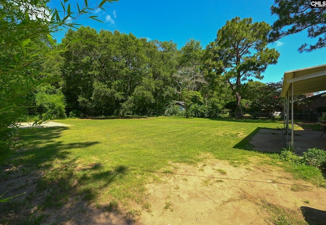 1206 Furman Dr, Sumter, SC 29154 - view of green lawn