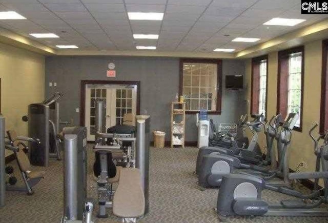 15 Alumni Ln, Blythewood, SC 29016 - gym featuring carpet floors, a drop ceiling, and french doors