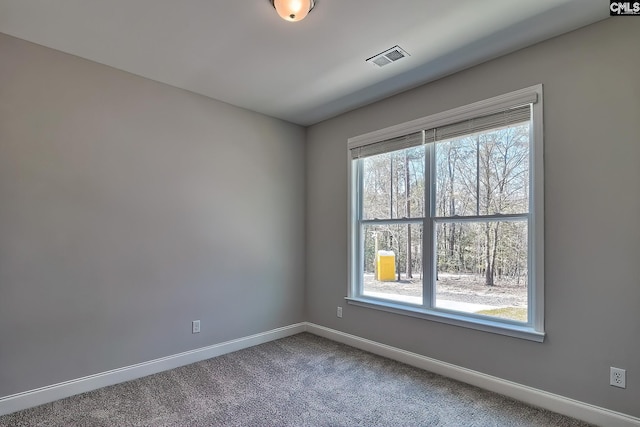 689 W Columbia Ave, Batesburg, SC 29006 - empty room with baseboards and carpet flooring