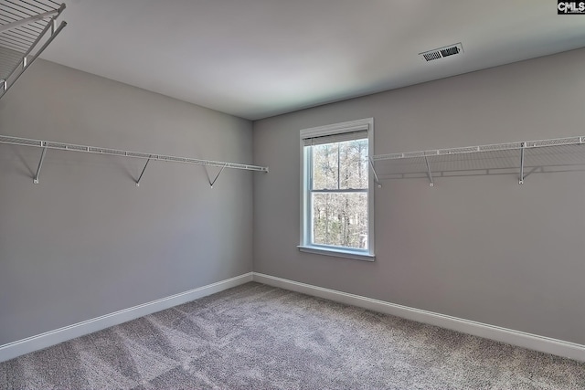 689 W Columbia Ave, Batesburg, SC 29006 - walk in closet featuring carpet flooring