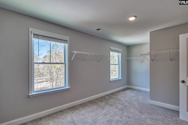 689 W Columbia Ave, Batesburg, SC 29006 - walk in closet featuring carpet flooring
