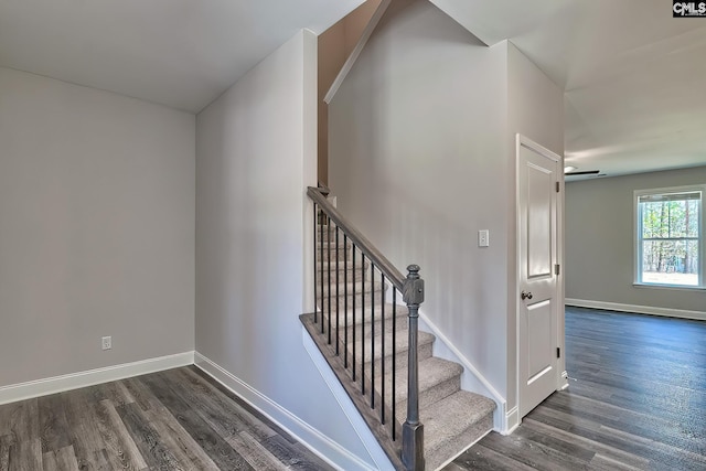 689 W Columbia Ave, Batesburg, SC 29006 - stairway featuring wood finished floors