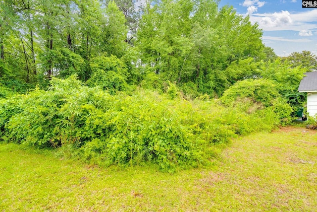 2161 Tanglewood Rd, Sumter, SC 29154 - view of yard