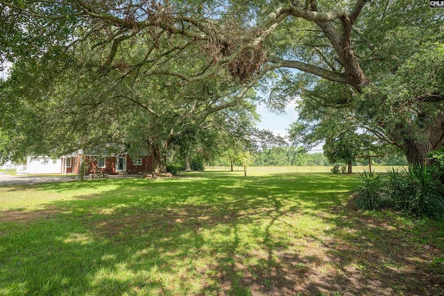 318 Summerland Ave, Batesburg, SC 29006 - view of grassy yard
