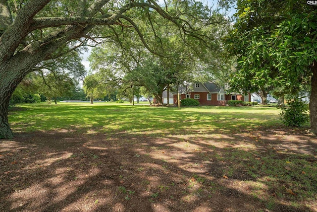 318 Summerland Ave, Batesburg, SC 29006 - view of grassy yard